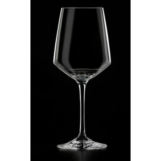 Набор бокалов Bergner MasterPro Wine Oenology 460мл для красного вина 2шт